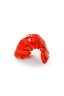 포토 JPG 스튜디오촬영 음식 요리 누끼 근접촬영 사람없음 해물요리 바닷가재 해산물 꼬리 랍스터찜 국내포토 뷰포인트 실내 가재 파일형식