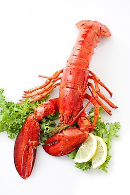 포토 JPG 스튜디오촬영 음식 요리 사람없음 해물요리 바닷가재 레몬 해산물 랍스터찜 국내포토 과일 실내 가재 파일형식