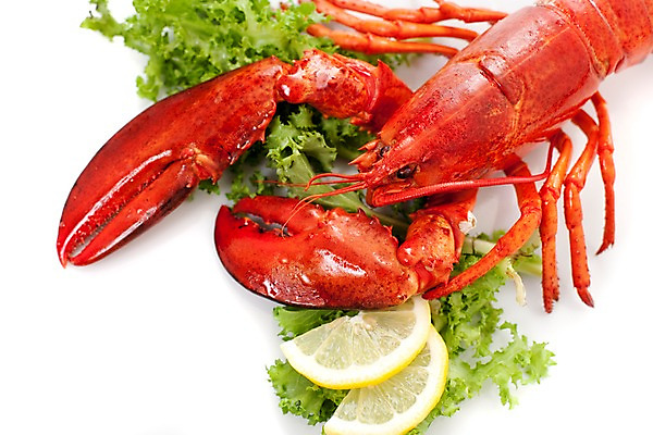 포토 JPG 스튜디오촬영 음식 요리 근접촬영 사람없음 해물요리 바닷가재 레몬 해산물 랍스터찜 국내포토 뷰포인트 과일 실내 가재 파일형식