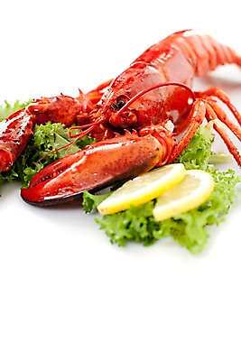 포토 JPG 스튜디오촬영 음식 요리 근접촬영 사람없음 해물요리 바닷가재 레몬 해산물 랍스터찜 국내포토 뷰포인트 과일 실내 가재 파일형식