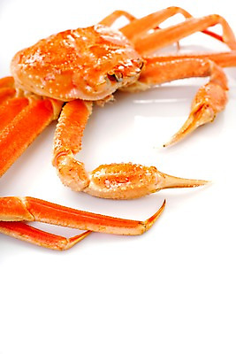 포토 JPG 스튜디오촬영 아시아 음식 외국문화 절지류 갑각류 요리 사람없음 해물요리 게 해산물 대게 대게찜 일본음식 국내포토 동물 나라 문화 실내 파일형식