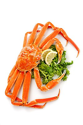 포토 JPG 스튜디오촬영 아시아 음식 외국문화 절지류 파슬리 갑각류 요리 누끼 사람없음 해물요리 게 레몬 해산물 대게 대게찜 일본음식 국내포토 동물 나라 문화 채소 과일 실내 파일형식