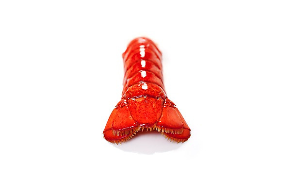 포토 JPG 스튜디오촬영 음식 요리 누끼 사람없음 해물요리 바닷가재 해산물 꼬리 국내포토 실내 가재 파일형식