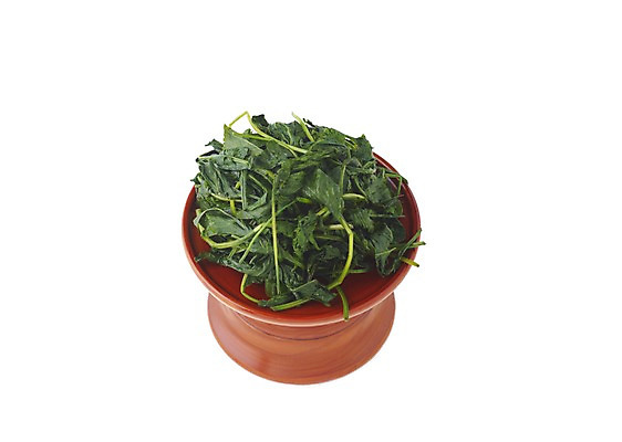 포토 JPG 스튜디오촬영 한국문화 한국전통 한식 음식 한국 실내 누끼 사람없음 상차림 제사 전통의례 나물 제기_제사 제사상 제사음식 무침 취나물 국내포토 동양문화 전통 아시아 채소 내부 전통음식 제사용품 파일형식