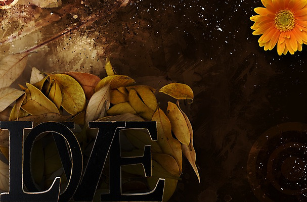 PSD 편집이미지 문자 기호 알파벳 계절 꽃 백그라운드 낙엽 프레임 국화 사람없음 가로 노란색 공백 가을 빈티지 이미지편집 식물 영어 컬러 컨셉 잎 파일형식