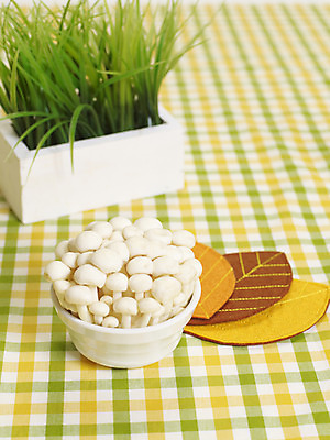 포토 JPG 스튜디오촬영 식물 그릇 화분 컬러 잎 식재료 실내 사람없음 아웃포커스 장식 세로 버섯 식탁보 흰색 풀 천 식용버섯 컬러푸드 송이버섯 국내포토 식기 촬영기법 내부 직물 파일형식