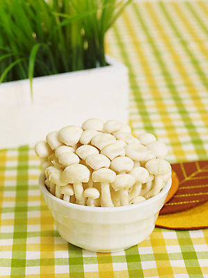 포토 JPG 스튜디오촬영 식물 그릇 화분 컬러 잎 식재료 실내 사람없음 아웃포커스 장식 세로 버섯 식탁보 흰색 풀 천 식용버섯 컬러푸드 송이버섯 국내포토 식기 촬영기법 내부 직물 파일형식