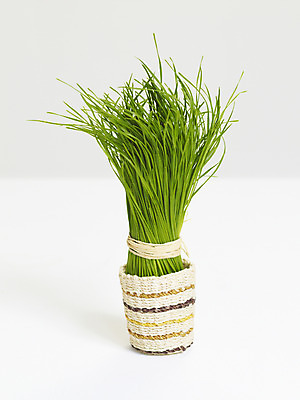 포토 JPG 스튜디오촬영 컬러 채소 식재료 실내 사람없음 세로 초록색 바구니 묶기 컬러푸드 부추 한단 국내포토 1 모션 내부 파일형식