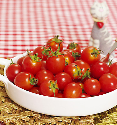 포토 JPG 스튜디오촬영 식물 그릇 접시 열매 컬러 채소 방울토마토 실내 근접촬영 사람없음 아웃포커스 빨간색 세로 고양이 천 오브젝트 컬러푸드 반려 국내포토 식기 뷰포인트 토마토 포유류 촬영기법 내부 반려동물 직물 파일형식