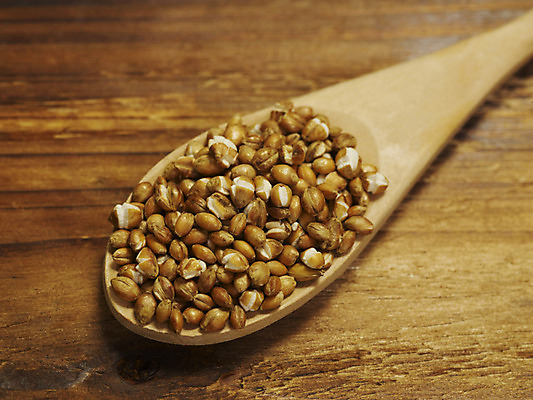 포토 JPG 스튜디오촬영 컬러 식재료 곡류 실내 옥수수 근접촬영 사람없음 목재 가로 노란색 숟가락 컬러푸드 나무숟가락 원목무늬 국내포토 나무 뷰포인트 무늬 재료 수저 내부 파일형식