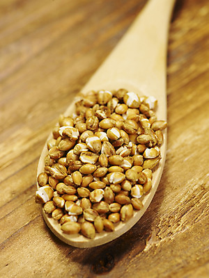 포토 JPG 스튜디오촬영 컬러 식재료 곡류 실내 옥수수 근접촬영 사람없음 목재 세로 노란색 숟가락 컬러푸드 나무숟가락 원목무늬 국내포토 나무 뷰포인트 무늬 재료 수저 내부 파일형식