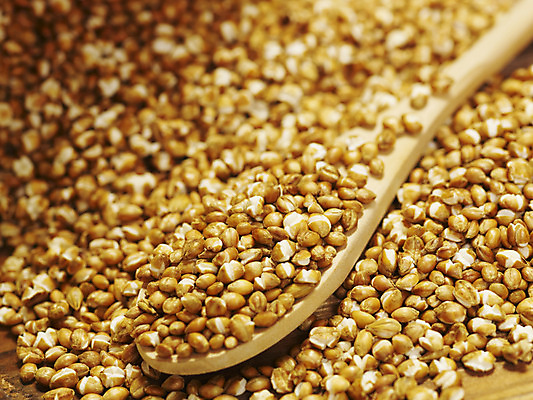 포토 JPG 스튜디오촬영 컬러 식재료 곡류 실내 옥수수 근접촬영 사람없음 가로 노란색 숟가락 컬러푸드 나무숟가락 국내포토 뷰포인트 수저 내부 파일형식