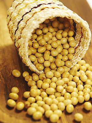 포토 JPG 스튜디오촬영 컬러 식재료 콩 곡류 실내 근접촬영 사람없음 목재 세로 노란색 바구니 컬러푸드 원목무늬 국내포토 나무 뷰포인트 무늬 재료 내부 파일형식