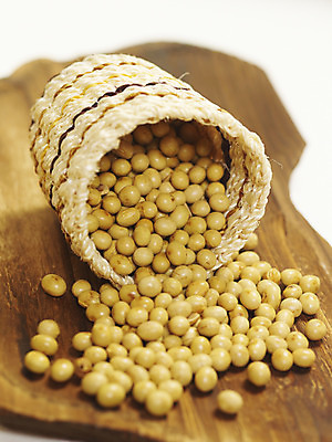 포토 JPG 스튜디오촬영 컬러 식재료 콩 곡류 쟁반 실내 근접촬영 사람없음 목재 세로 노란색 바구니 컬러푸드 원목무늬 국내포토 나무 뷰포인트 무늬 재료 내부 파일형식