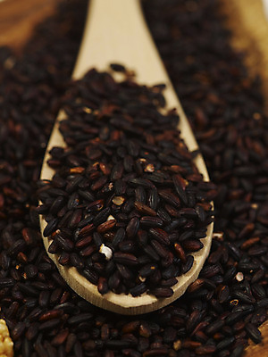 포토 JPG 스튜디오촬영 컬러 식재료 곡류 실내 근접촬영 사람없음 세로 숟가락 검은색 쌀 컬러푸드 나무숟가락 검은쌀 흑미 국내포토 뷰포인트 수저 내부 파일형식