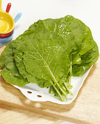 포토 JPG 스튜디오촬영 컬러 채소 식재료 도마 쟁반 실내 사람없음 세로 초록색 물방울 쌈 컬러푸드 나무도마 케일 국내포토 주방용품 내부 목재 파일형식