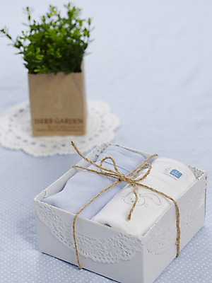 포토 JPG 스튜디오촬영 식물 옷 화분 화초 실내 선물 사람없음 세로 선물상자 상자 아기용품 끈 풀 오브젝트 유아복 노끈 국내포토 줄 내부 파일형식