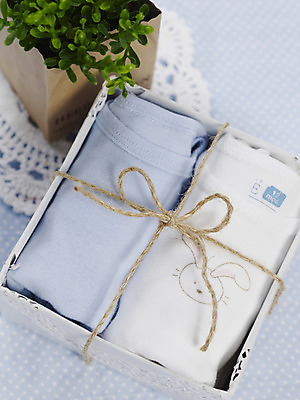 포토 JPG 스튜디오촬영 식물 옷 화분 화초 실내 선물 근접촬영 사람없음 세로 선물상자 상자 하이앵글 아기용품 끈 풀 오브젝트 유아복 노끈 국내포토 레이스천 줄 뷰포인트 내부 직물 파일형식