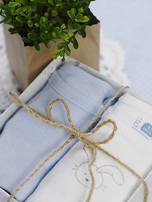 포토 JPG 스튜디오촬영 식물 옷 화분 화초 실내 선물 사람없음 세로 선물상자 상자 아기용품 끈 풀 오브젝트 유아복 노끈 국내포토 레이스천 줄 내부 직물 파일형식