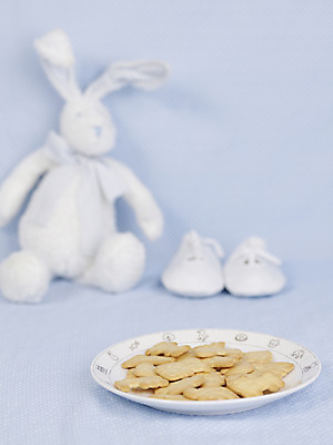 포토 JPG 스튜디오촬영 음식 인형 신발 실내 사람없음 아웃포커스 세로 쿠키 과자 아기용품 동물모양 토끼인형 이유식 이유식과자 국내포토 모양 동물 디저트 촬영기법 내부 토끼 오브젝트 파일형식