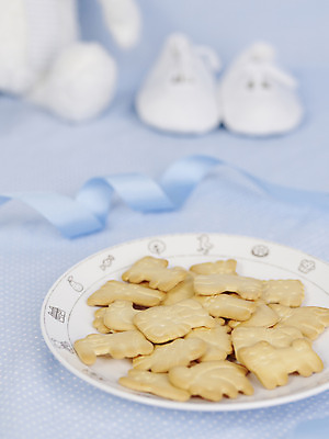 포토 JPG 스튜디오촬영 그릇 접시 리본 신발 실내 사람없음 아웃포커스 세로 쿠키 과자 아기용품 사자 동물모양 이유식 이유식과자 국내포토 모양 동물 식기 음식 포유류 디저트 촬영기법 내부 오브젝트 파일형식