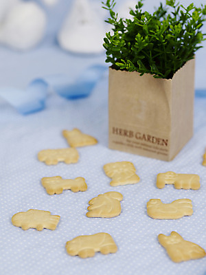 포토 JPG 스튜디오촬영 식물 리본 화분 화초 코끼리 실내 어류 사람없음 아웃포커스 세로 쿠키 과자 아기용품 닭 풀 사자 다람쥐 동물모양 하마 이유식 이유식과자 국내포토 모양 동물 음식 포유류 조류 디저트 촬영기법 내부 수중동물 설치류 오브젝트 파일형식