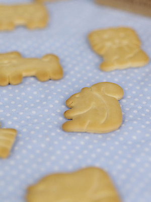 포토 JPG 스튜디오촬영 실내 근접촬영 사람없음 아웃포커스 세로 쿠키 과자 아기용품 다람쥐 동물모양 이유식 이유식과자 국내포토 모양 동물 음식 뷰포인트 디저트 촬영기법 내부 설치류 오브젝트 파일형식