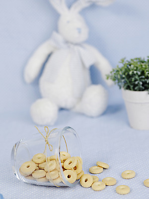 포토 JPG 스튜디오촬영 식물 화분 화초 음식 인형 잔 실내 사람없음 아웃포커스 컵 세로 쿠키 과자 아기용품 끈 풀 토끼인형 노끈 이유식 이유식과자 국내포토 식기 줄 디저트 촬영기법 내부 토끼 오브젝트 파일형식