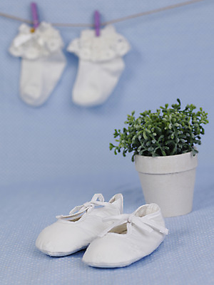 포토 JPG 스튜디오촬영 식물 잡화 화분 화초 신발 양말 실내 집게 사람없음 아웃포커스 세로 아기용품 풀 아기신발 국내포토 촬영기법 내부 오브젝트 파일형식