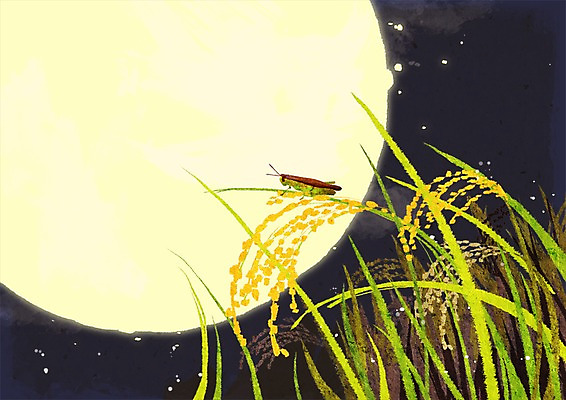 PSD 식물 한국전통 계절 명절 별 컬러 곤충 백그라운드 일러스트 자연 풍경 사람없음 야외 노란색 추석 가을풍경 벼 보름달 가을 시골 야간 메뚜기 귀뚜라미 가을배경 국내일러스트 자연요소 동물 전통 기념일 곡류 한국 달 생태계 파일형식 가을_계절