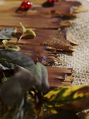 포토 JPG 스튜디오촬영 식물 계절 곤충 백그라운드 낙엽 잎 자연 나뭇잎 실내 사람없음 목재 아웃포커스 모형 가을풍경 가을 판넬 오브젝트 무당벌레 국내포토 나무 동물 재료 촬영기법 풍경 내부 생태계 파일형식 가을_계절