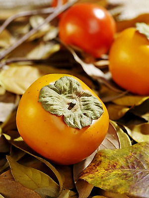 포토 JPG 스튜디오촬영 식물 계절 열매 컬러 낙엽 과일 자연 나뭇잎 실내 감 근접촬영 사람없음 아웃포커스 가을풍경 주황색 가을 오브젝트 국내포토 뷰포인트 잎 촬영기법 풍경 내부 생태계 파일형식 가을_계절