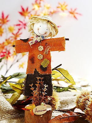 포토 JPG 스튜디오촬영 계절 인형 단풍 낙엽 자연 단풍나무 나뭇잎 단추 실내 사람없음 아웃포커스 가을풍경 가을 나뭇가지 밤송이 오브젝트 허수아비 국내포토 나무 잎 농업 촬영기법 풍경 내부 밤_견과류 생태계 파일형식 가을_계절