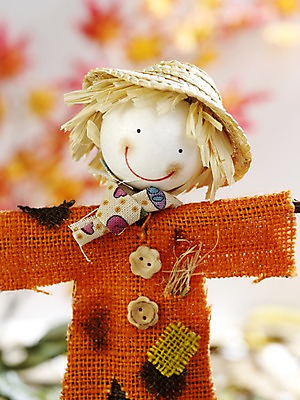 포토 JPG 스튜디오촬영 계절 인형 컬러 단풍 낙엽 자연 단추 실내 근접촬영 사람없음 아웃포커스 가을풍경 주황색 가을 오브젝트 허수아비 국내포토 뷰포인트 잎 농업 촬영기법 풍경 내부 생태계 파일형식 가을_계절