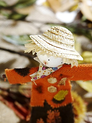 포토 JPG 스튜디오촬영 계절 인형 낙엽 자연 실내 사람없음 아웃포커스 하이앵글 가을풍경 가을 오브젝트 허수아비 국내포토 뷰포인트 잎 농업 촬영기법 풍경 내부 생태계 파일형식 가을_계절