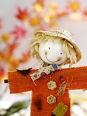 포토 JPG 스튜디오촬영 계절 인형 컬러 자연 실내 근접촬영 사람없음 아웃포커스 가을풍경 주황색 가을 오브젝트 허수아비 국내포토 뷰포인트 농업 촬영기법 풍경 내부 생태계 파일형식 가을_계절