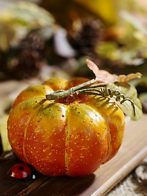 포토 JPG 스튜디오촬영 계절 음식 컬러 곤충 낙엽 채소 식재료 자연 호박 나뭇잎 실내 근접촬영 사람없음 목재 아웃포커스 모형 가을풍경 주황색 가을 판넬 덩굴 오브젝트 무당벌레 늙은호박 국내포토 나무 식물 동물 뷰포인트 잎 재료 촬영기법 풍경 내부 생태계 파일형식 가을_계절