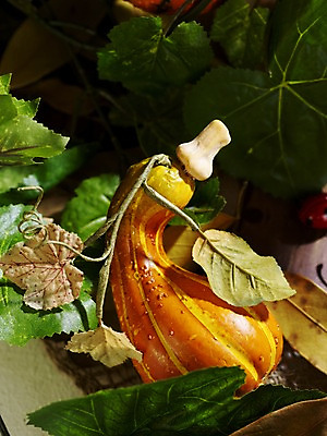 포토 JPG 스튜디오촬영 계절 음식 낙엽 채소 식재료 자연 호박 나뭇잎 실내 사람없음 가을풍경 가을 덩굴 오브젝트 늙은호박 국내포토 식물 잎 풍경 내부 생태계 파일형식 가을_계절