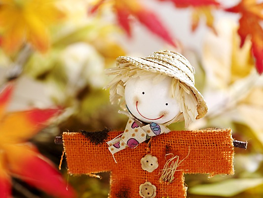 포토 JPG 스튜디오촬영 계절 인형 단풍 자연 나뭇잎 실내 사람없음 아웃포커스 가을풍경 주황색 가을 오브젝트 허수아비 국내포토 컬러 잎 농업 촬영기법 풍경 내부 생태계 파일형식 가을_계절