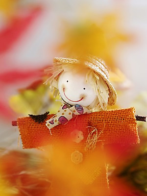 포토 JPG 스튜디오촬영 계절 인형 컬러 단풍 자연 나뭇잎 실내 사람없음 아웃포커스 가을풍경 주황색 가을 오브젝트 허수아비 국내포토 잎 농업 촬영기법 풍경 내부 생태계 파일형식 가을_계절