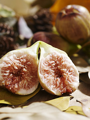 포토 JPG 스튜디오촬영 식물 계절 열매 낙엽 자연 단면 나뭇잎 실내 사람없음 아웃포커스 가을풍경 가을 오브젝트 무화과 국내포토 잎 과일 촬영기법 풍경 내부 생태계 파일형식 가을_계절