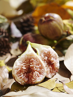 포토 JPG 스튜디오촬영 식물 계절 열매 낙엽 자연 단면 나뭇잎 실내 사람없음 아웃포커스 가을풍경 가을 오브젝트 무화과 국내포토 잎 과일 촬영기법 풍경 내부 생태계 파일형식 가을_계절