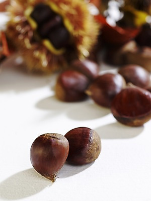 포토 JPG 스튜디오촬영 식물 계절 열매 음식 자연 실내 사람없음 아웃포커스 가을풍경 견과류 가을 밤 밤송이 오브젝트 국내포토 촬영기법 풍경 내부 밤_견과류 생태계 파일형식 가을_계절