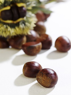 포토 JPG 스튜디오촬영 식물 계절 열매 음식 실내 사람없음 아웃포커스 가을풍경 견과류 가을 밤 밤송이 오브젝트 국내포토 촬영기법 풍경 내부 밤_견과류 파일형식 가을_계절