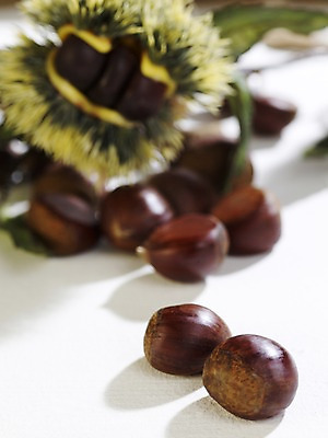 포토 JPG 스튜디오촬영 식물 계절 열매 음식 실내 사람없음 아웃포커스 가을풍경 견과류 가을 밤 밤송이 오브젝트 국내포토 촬영기법 풍경 내부 밤_견과류 파일형식 가을_계절