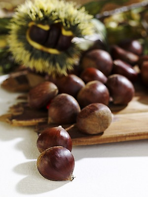 포토 JPG 스튜디오촬영 식물 계절 열매 음식 자연 실내 사람없음 목재 아웃포커스 가을풍경 견과류 가을 밤 밤송이 오브젝트 나무판자 국내포토 나무 재료 촬영기법 풍경 내부 밤_견과류 생태계 파일형식 가을_계절