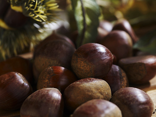 포토 JPG 스튜디오촬영 식물 계절 열매 음식 컬러 자연 실내 근접촬영 사람없음 아웃포커스 갈색 가을풍경 견과류 가을 밤 밤송이 오브젝트 국내포토 뷰포인트 촬영기법 풍경 내부 밤_견과류 생태계 파일형식 가을_계절