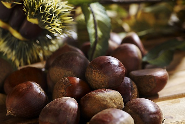 포토 JPG 스튜디오촬영 식물 계절 열매 음식 컬러 자연 나뭇잎 실내 근접촬영 사람없음 목재 아웃포커스 갈색 가을풍경 견과류 가을 판넬 밤 밤송이 오브젝트 국내포토 나무 뷰포인트 잎 재료 촬영기법 풍경 내부 밤_견과류 생태계 파일형식 가을_계절