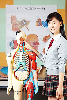 포토 JPG 학생 여자 교육 교복 신체 학교 인체모형 청소년 고등학생 수업 알림판 실내 고등학교 한명 미소 웃음 사람 동양인 손짓 상반신 옆모습 10대 스쿨라이프 한국인 카디건 과학교육 과학실 여자만 여자한명만 십대만 십대여자만 십대여자한명만 국내포토 1 라이프스타일 옷 뷰포인트 과학 모션 표정 인종 내부 모형 외투 파일형식