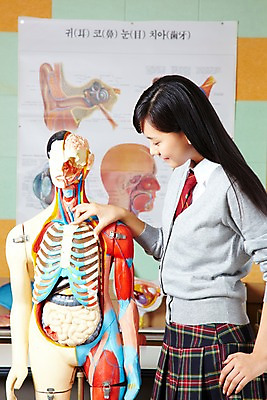 포토 JPG 학생 여자 교육 교복 신체 학교 인체모형 청소년 고등학생 수업 알림판 실내 고등학교 한명 사람 동양인 상반신 옆모습 10대 스쿨라이프 한국인 카디건 과학교육 과학실 여자만 여자한명만 십대만 십대여자만 십대여자한명만 국내포토 1 라이프스타일 옷 뷰포인트 과학 인종 내부 모형 외투 파일형식